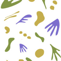Matisse verde, mostaza y lila